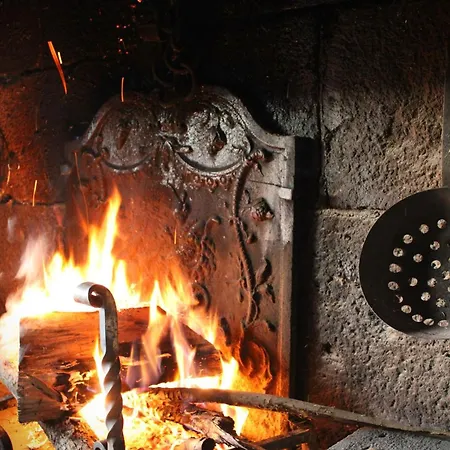 De Caractere Au Pied Du Puy Mary Σπίτι διακοπών Le Falgoux