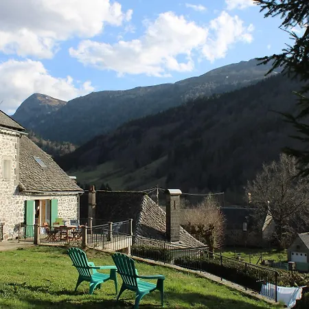 De Caractere Au Pied Du Puy Mary *