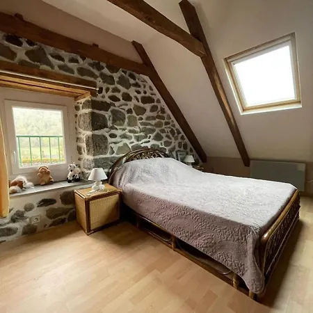 De Caractère Au Pied Du Puy Mary Hébergement de vacances