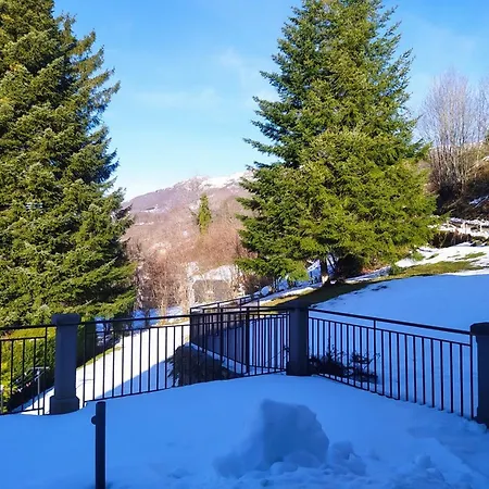 De Caractere Au Pied Du Puy Mary * Le Falgoux