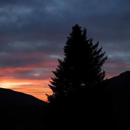 De Caractere Au Pied Du Puy Mary *
