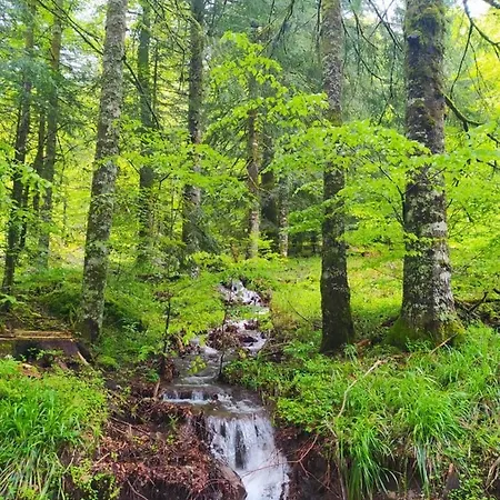 De Caractere Au Pied Du Puy Mary Σπίτι διακοπών *