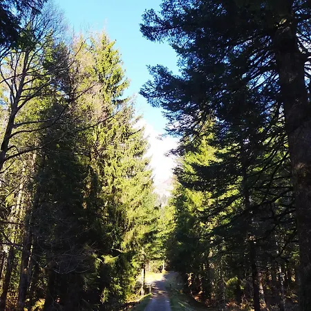 De Caractere Au Pied Du Puy Mary