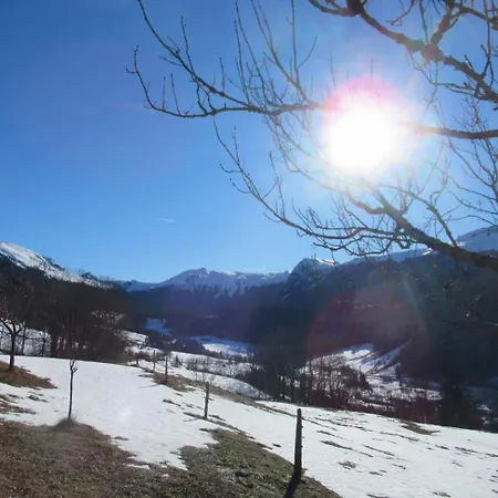 De Caractere Au Pied Du Puy Mary