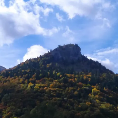 De Caractere Au Pied Du Puy Mary * Le Falgoux