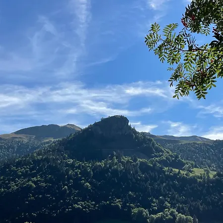 De Caractère Au Pied Du Puy Mary * Le Falgoux