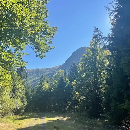 De Caractere Au Pied Du Puy Mary