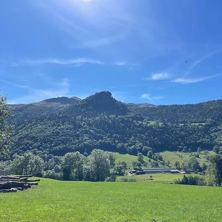 De Caractère Au Pied Du Puy Mary *