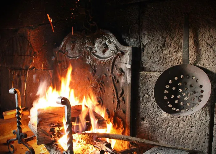 De Caractere Au Pied Du Puy Mary Holiday home Le Falgoux