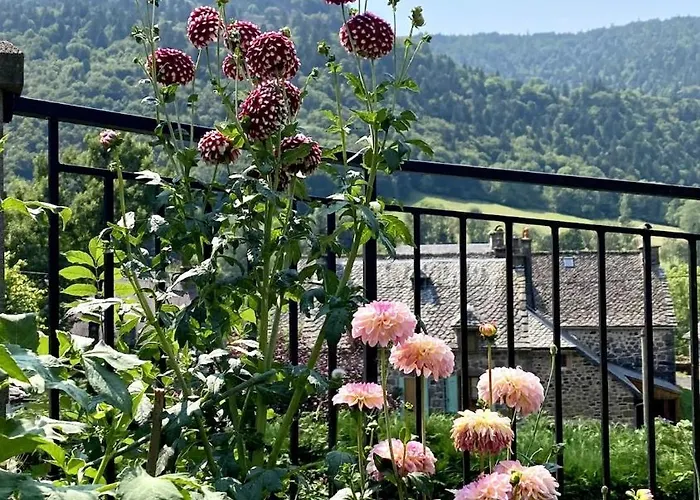 De Caractere Au Pied Du Puy Mary *