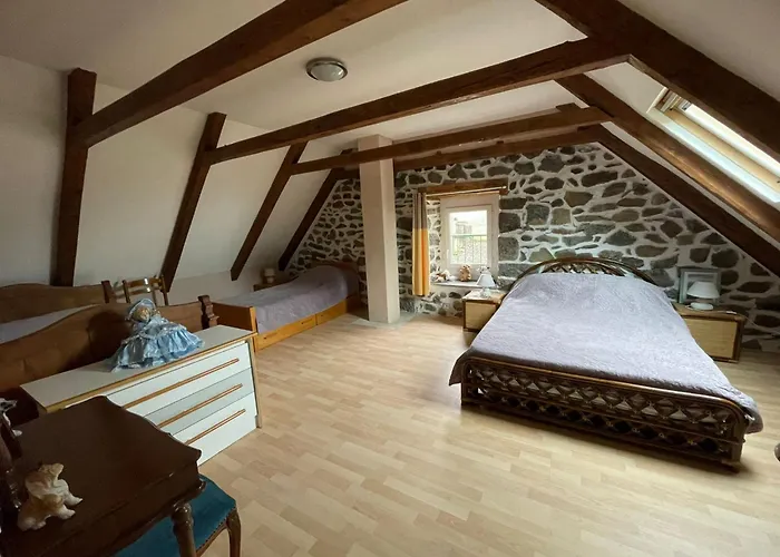 De Caractere Au Pied Du Puy Mary * Le Falgoux