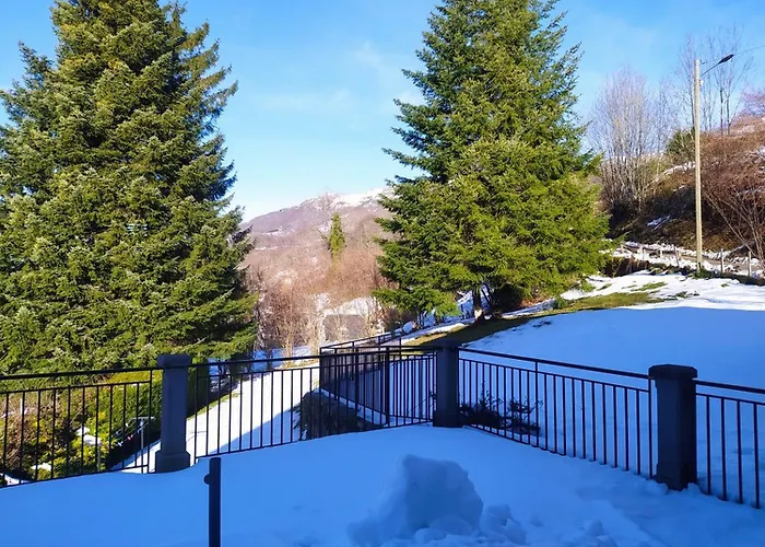 De Caractere Au Pied Du Puy Mary * Le Falgoux