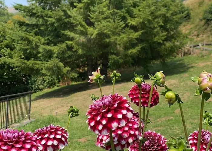 De Caractere Au Pied Du Puy Mary * Le Falgoux