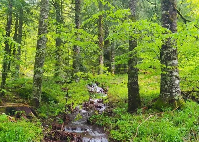 De Caractere Au Pied Du Puy Mary Holiday home *
