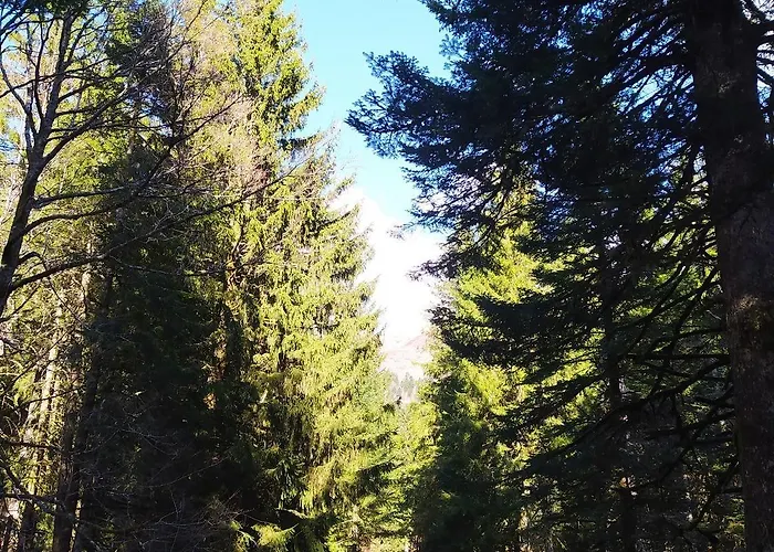 De Caractere Au Pied Du Puy Mary