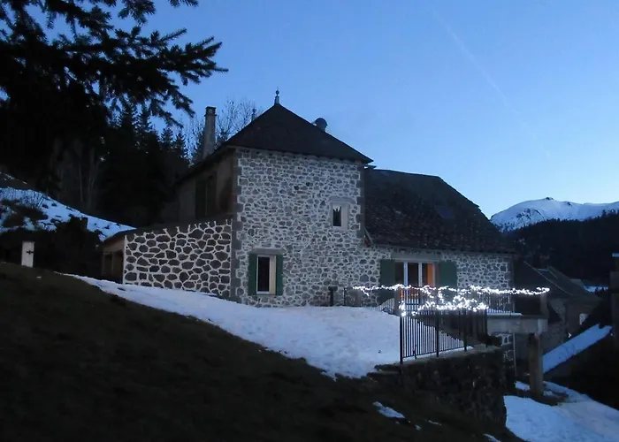 De Caractere Au Pied Du Puy Mary Le Falgoux