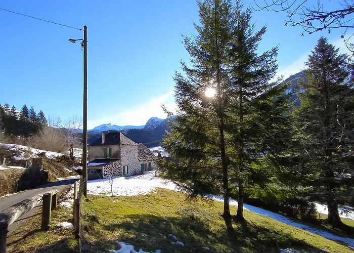 De Caractere Au Pied Du Puy Mary Holiday home Le Falgoux