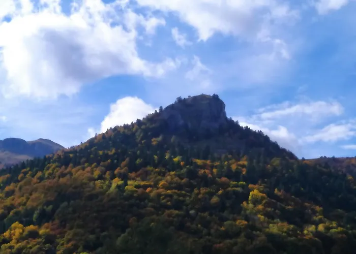 De Caractere Au Pied Du Puy Mary * Le Falgoux